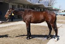 ȭ���÷��� (FIGHTING LANGFUHR) ����