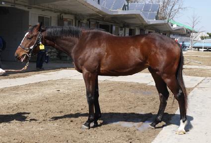 ȭ���÷��� ����