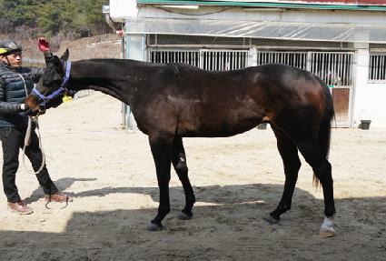 ���оƸ��Ƹ� ����