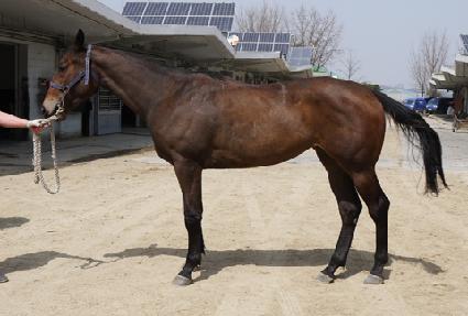 ���þ߶� ����