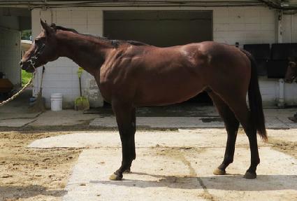 �Ƹ޸�ĭ�� ����