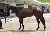 �������� (MUNHAK WINNER) ����