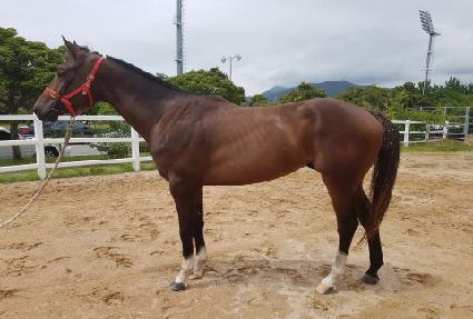 ���ϵ尡�� ����