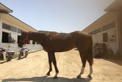 �ٺ��帲 ����