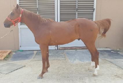 ����Ŭ�����̼� ����