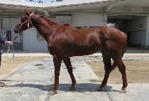 ü��������Ŀ (CHANGE MAKER) ����