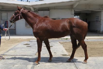 ü��������Ŀ ����