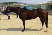 Ŭ�����޴� (CLEAN UP MEDA) ����