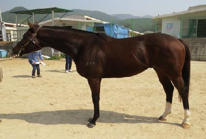 Ŭ�����޴� ����