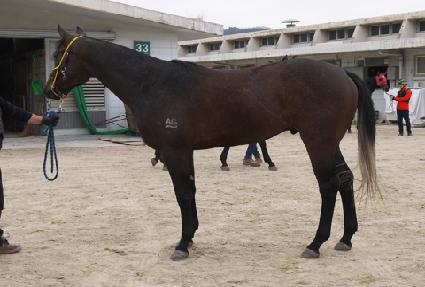 ũ���������� ����