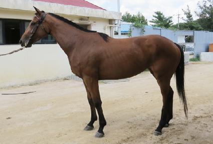 ��������� ����