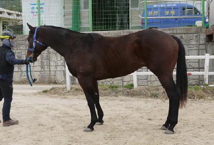 ũ���������� ����