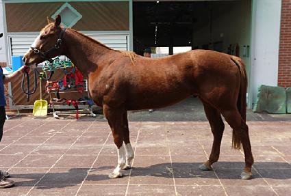 ũ��������Ű ����