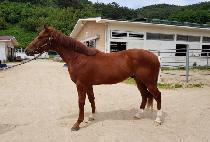 ��굵�� (JANGSAN DOKKI) ����