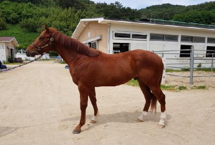 ��굵�� ����