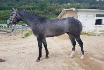 ��ٿ�ũ (VIVA WORK) ����