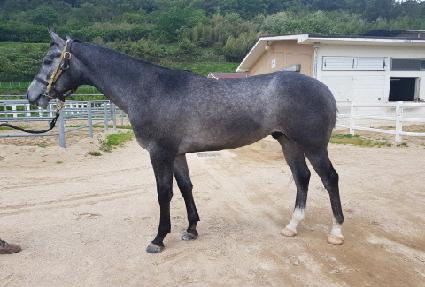 ��ٿ�ũ ����