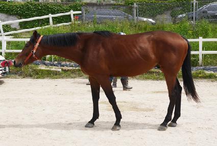 ���۵��� ����