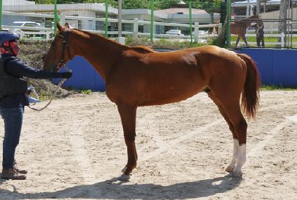 ����Ƽ���� ����