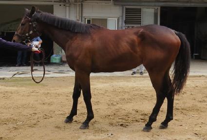 ��Ŀ ����