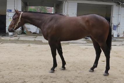 �ְ��� ����