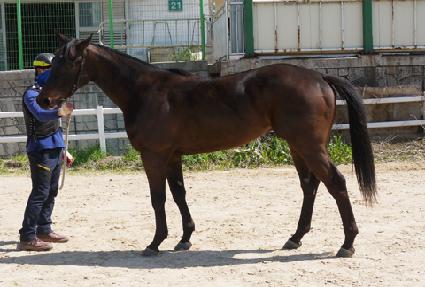 ��ť���� ����