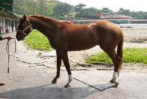 ��������� (EONEU MEOTJIN NAL) ����