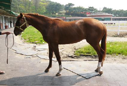 ��������� ����