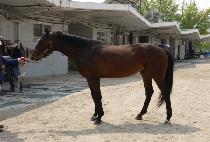 �ﺹ�帲 (HEUNGBOK DREAM) ����