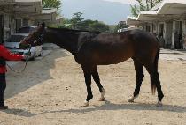 ��¯ (HEUNG JJANG) ����