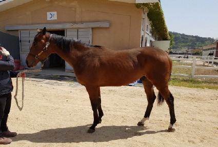 Ʈ���̿��� ����