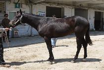 ���̵��� (NAMCHON DAY) ����