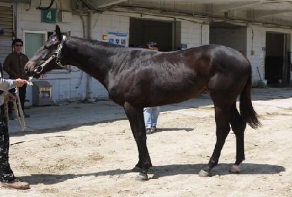 ���̵��� ����