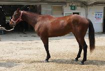 ���̿����̽� (K.N ACE) ����