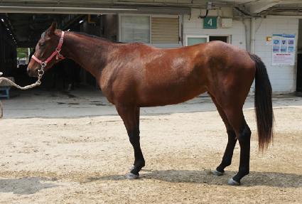 ���̿����̽� ����