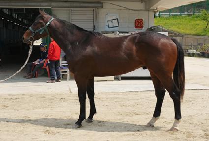 �����ø� ����