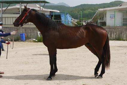 �̱��̱� ����