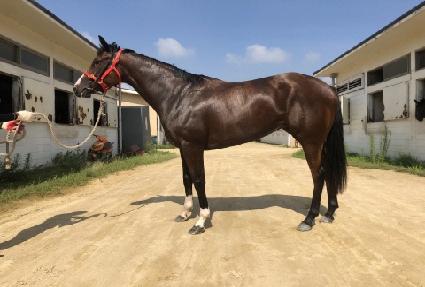 ���̳��͹��� ����