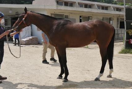 ����Ÿ�̰� ����