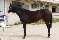 �������̾� (MUNHAK FIRE) ����