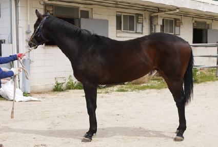 �������̾� ����