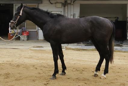 ���ʺ��� ����