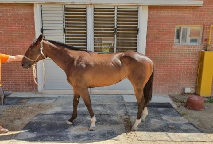 �ο�����̵� ����