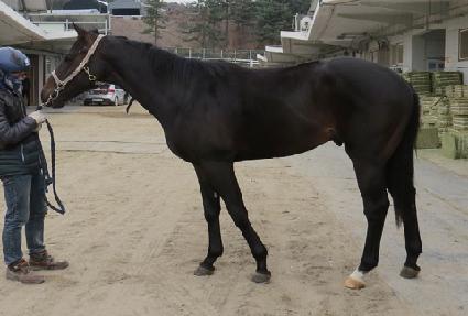 ��Ʈ���� ����