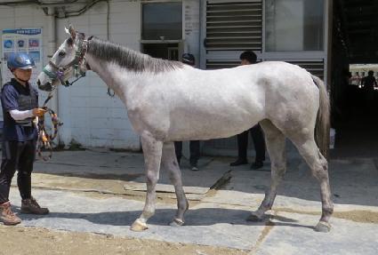 ����� ����