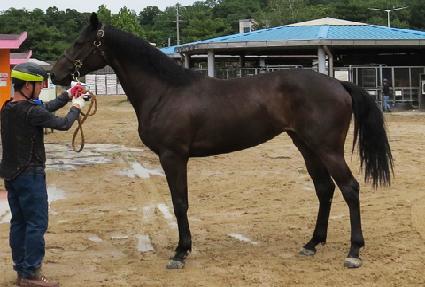 �������� ����