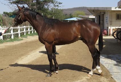 �����̵�ǳ ����