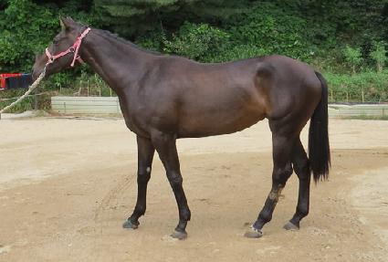 ���ƿ¼��� ����