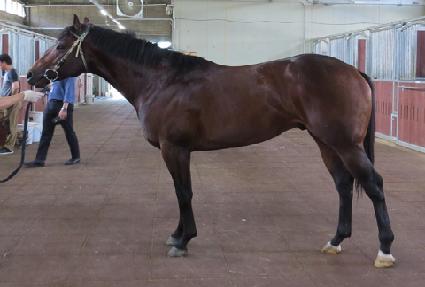 ������ǻó ����