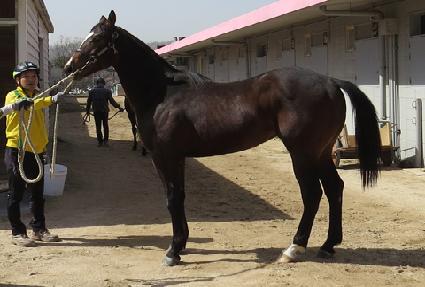 ���ǵ���Ʈ ����